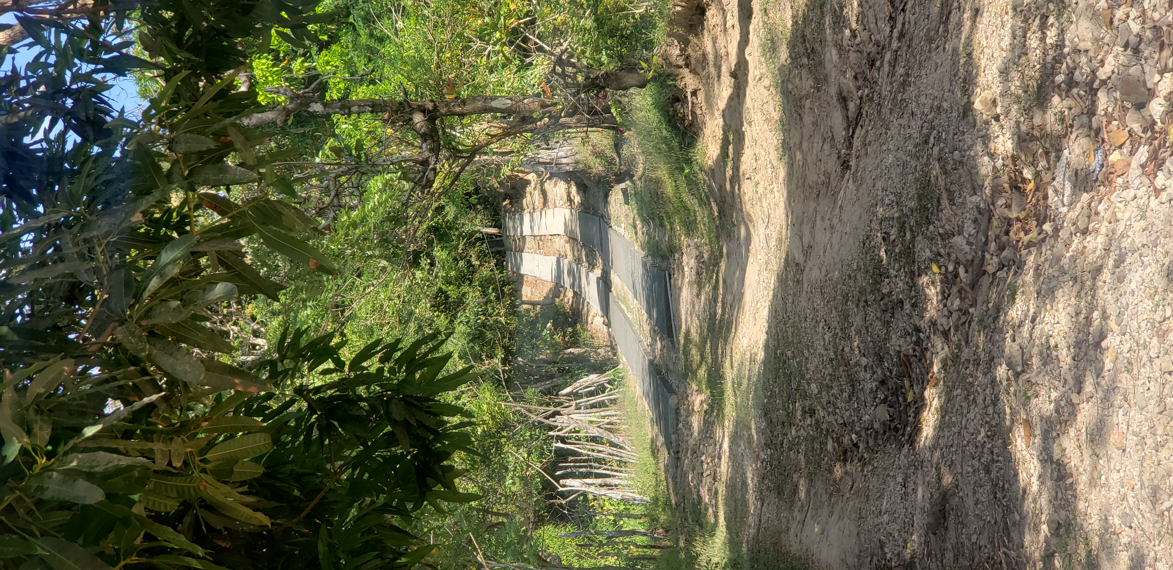 CaminoRural