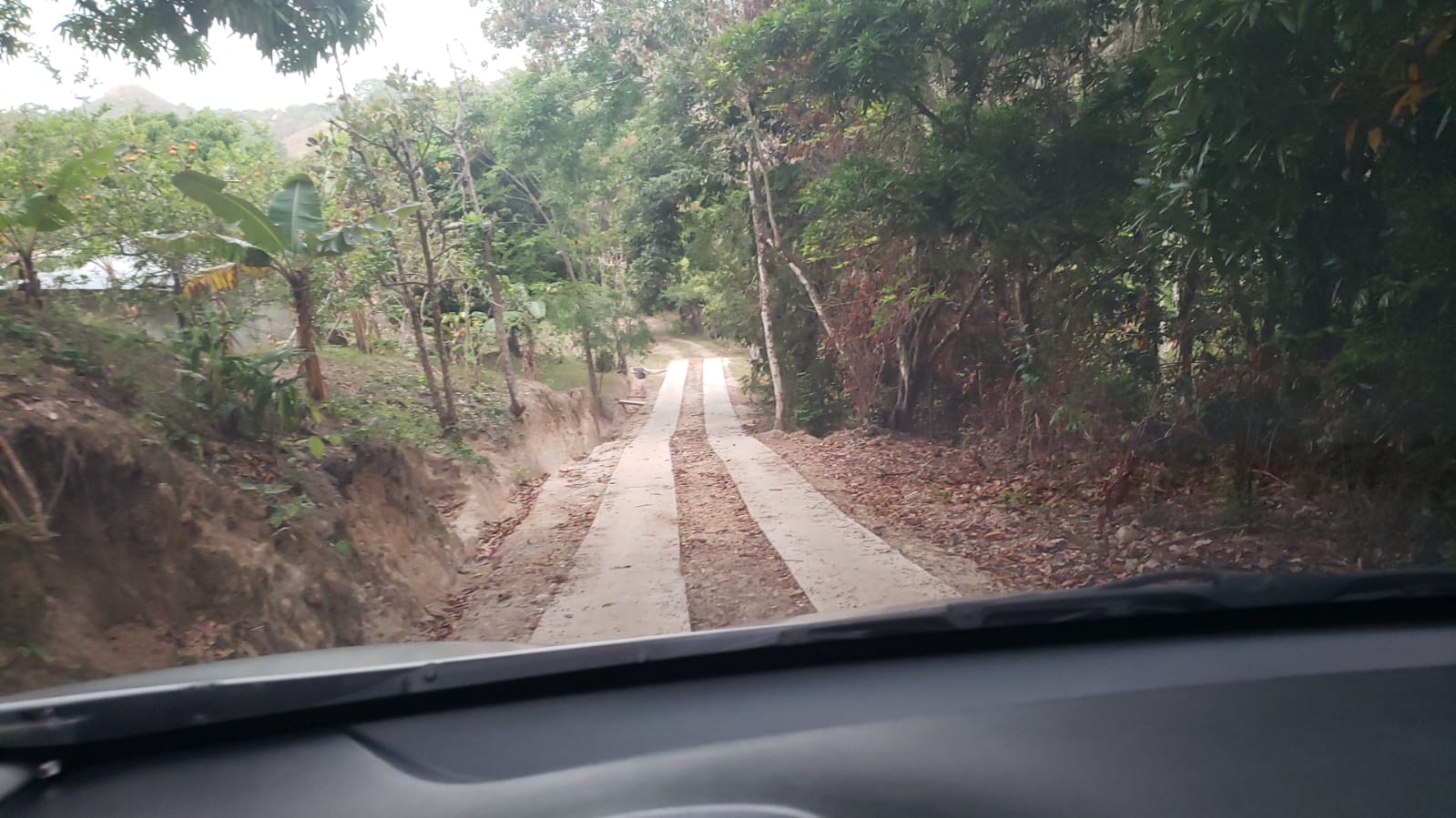 camino