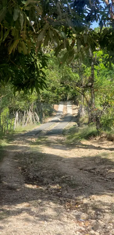 CaminoRural